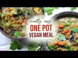 EASY vegan ONE POT meal