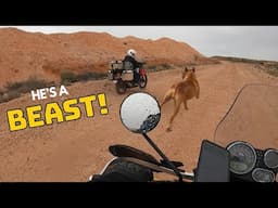 SEE YOU in the NT! Riding through the Outback | #55 | Around Australia by Motorbike