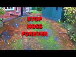 The ONLY Fix You Need for a Moss Covered Driveway -  MOSS gets OBLITERATED IN MINUTES!