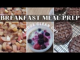 Sunday Fridge Clean Out & Breakfast Meal Prep | Get it all done | Cook with me!