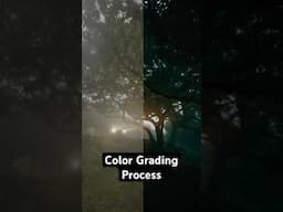 How I Color Grade My Videos