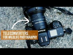 Teleconverters for WILDLIFE photography | Things to consider before you buy!