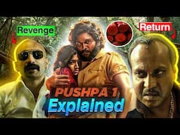 Pushpa 2 से पहले ये ज़रूर देखिए | Pushpa 1 Recap In HINDI | Pushpa 1 Movie Explained | Pushpa Movie