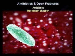 How Antibiotics Work: Cell Wall, Protein Synthesis, and Mechanisms of Resistance