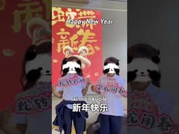 新年快乐 happy new year #inchinese #新年快乐 #蛇年 #chinesenewyear #新年