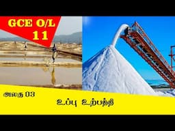 Salt Production -உப்பு உற்பத்தி | - Grade 11 Science | GCE O/L Tamil Medium