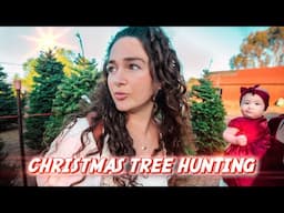 Finding the perfect Christmas Tree | This might be controversial...