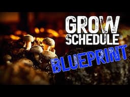 Master the Perfect Growth Schedule for Your Mushroom Farm This Season