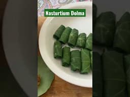 How to use Nasturtium Leaves #shortsviral