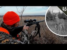 BIG BUCK at Last Light!!! (Iowa Public Land Hunting)