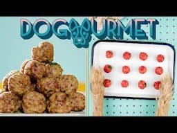 MEATBALL FOR BALLER DOGS | NATURAL DOG FOOD | DOGourmet 01