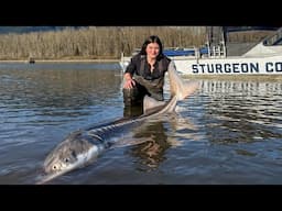 Camping and Fishing for Sturgeon in British Columbia