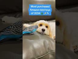 Amazon Must Haves for your bird 🎁🐦✨️