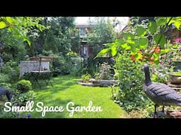 Small Garden Full of Summer Flowers | Perennial Garden Tour