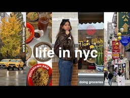 Living Alone in NYC | groceries, chinatown eats, weird nyc encounter...