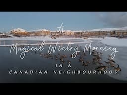 A Magical Wintry Morning in a Canadian Neighbourhood | Hamilton, Ontario