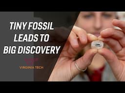 A tiny fossil leads to a bigger discovery