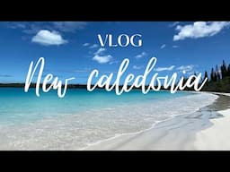 PLAGE SOLEIL PLONGEE TORTUES DAUPHINS : NOUVELLE-CALEDONIE VLOG#2