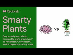 Smarty Plants | Radiolab Podcast