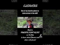 Check out the full Cleavers video!