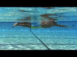 Freestyle Stroke Count Variation