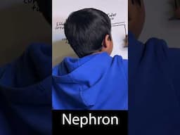 Nephron, coming video at #labathome