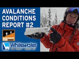 Avalanche Conditions Report #2