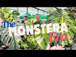 NEW Spectactular Variegated Monstera Varieties! Where They Come From? With Mike D’Andrea