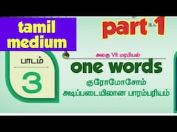 12th bio botany lesson 3| one words (part 1) | tamil medium | குரோமோசோம் அடிப்படையிலான பாரம்பரியம்