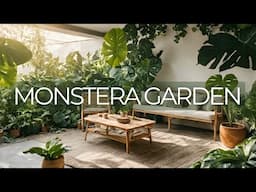 Early Morning Monstera Garden Ambience 🪴 Relax, Cozy and Natural Sounds 🌿