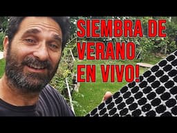 Siembra de Verano En Vivo