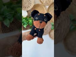 pattern by CuteKnitPattern #crochet #rottweiler #dogsoftiktok #customorder #goodboy #crochettok