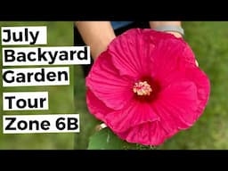 July Backyard Garden Tour | Zone 6 Gardening | July Garden Tour 2020 | Desi Gardener