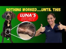 How We Healed a Dog's Chronic Diarrhea and Skin Issues Naturally | Holistic Pet Care