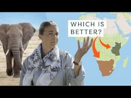 How to choose a Safari Destination