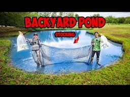 NETTING and STOCKING NEW BACKYARD POND! (MULTI SPECIES)