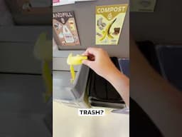 How to compost and recycle on campus!