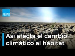 🌡️🌲  Así AFECTA el CAMBIO CLIMÁTICO a los hábitats naturales 🌲 🌡️