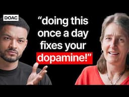 Dopamine Expert: Doing This Once A Day Fixes Your Dopamine! What Alcohol Is Doing To Your Brain!