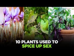 10 Plants Used to Spice up Sex