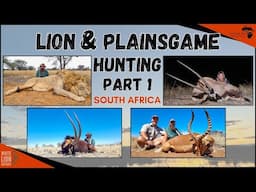 Dangerous Hunting in South Africa - Going after Lion