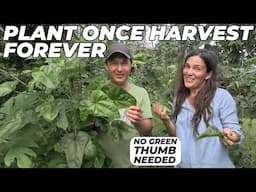 Tropical Green Vegetables That Feed You Forever-No Green Thumb Needed