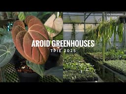 Aroid Greenhouses Promo TPIE 2025 | Tropical Plant International Expo FNGLA