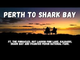 The ultimate WA road trip: Perth to Shark Bay! Pinnacles, Pink Lake, Kalbarri and Francois Peron NP.