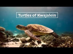 Turtles of Kwajalein