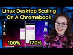 Linux Desktop Scaling On A Chromebook