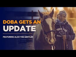 Doba Gets An Update