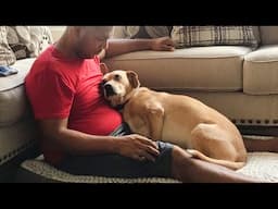 Grandpa and Dog Are The Best Together ❤️