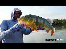 Wild Fish Wild Places | Streaming Now | MyOutdoorTV