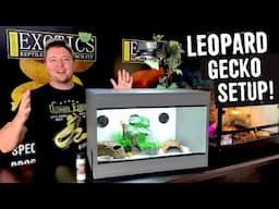 LEOPARD GECKO SETUP FOR BEGINNERS!